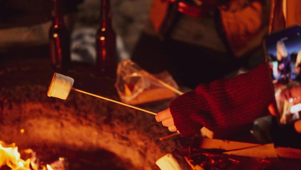 Image of someone roasting marshmallows over a campfire