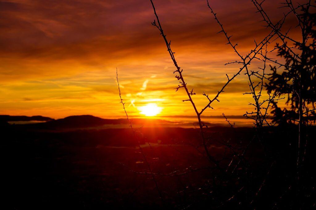 Image of a sunset behind some trees