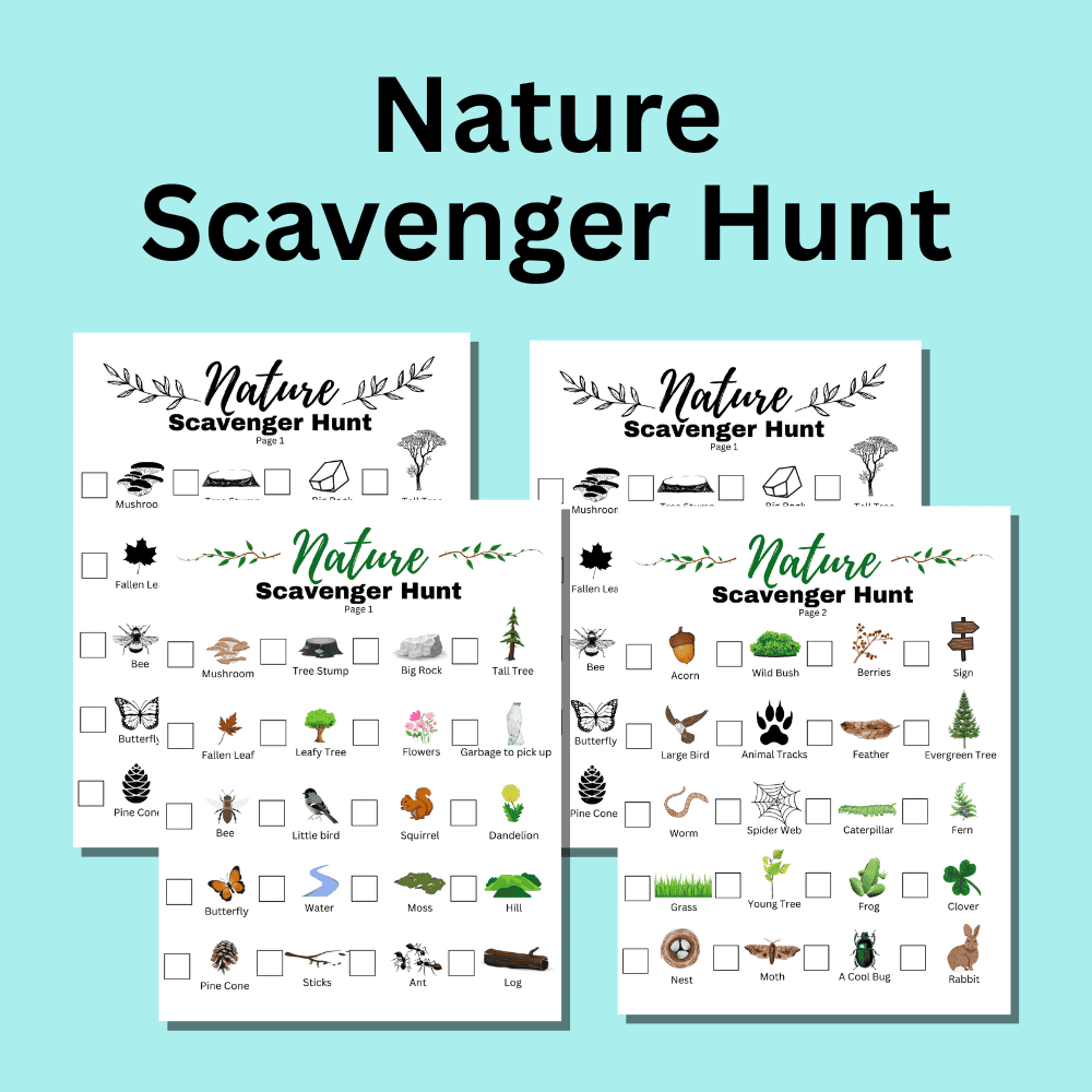 Nature scavenger hunt
